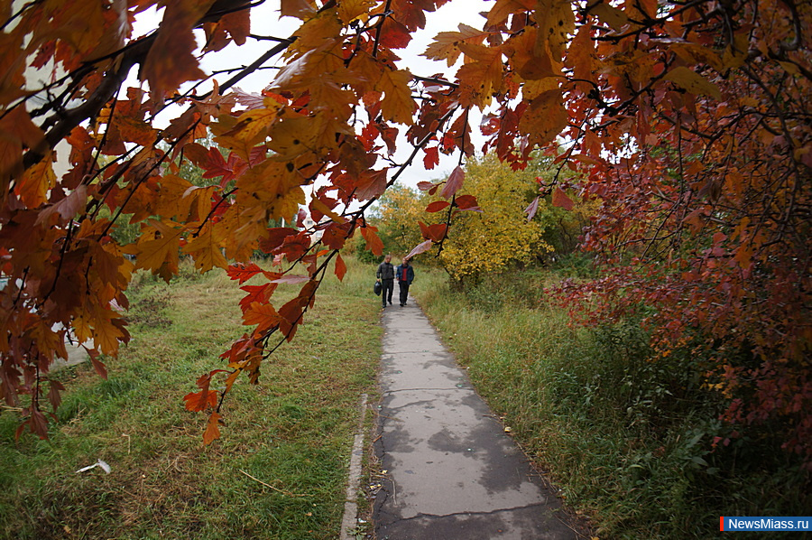 "     ". "-"  "-"   "-"