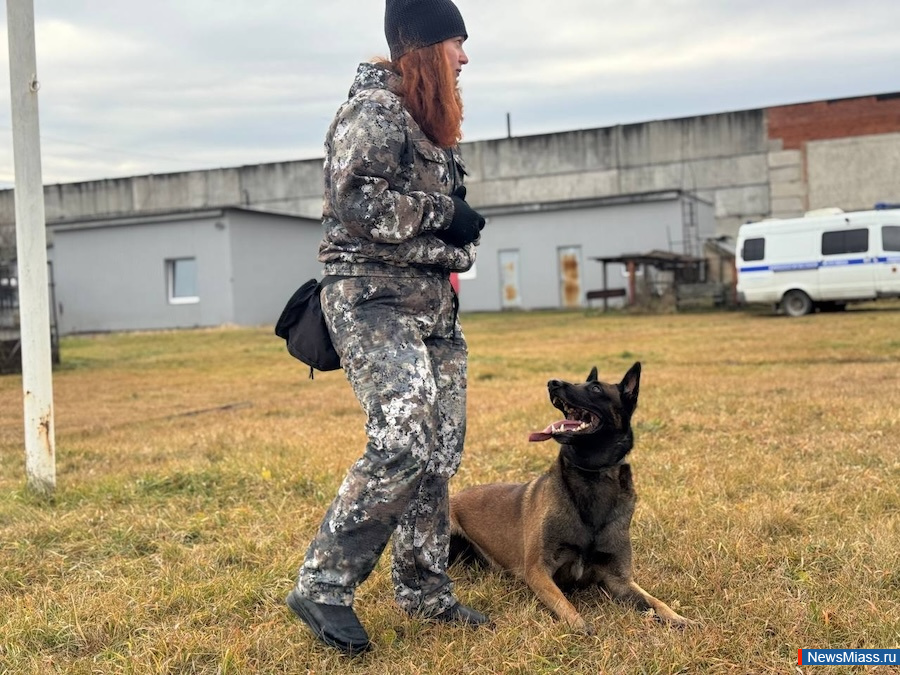 ���������� ����������� � �������������� ������� ������. ��������� � ����� �������������� ������ ������� � ������ ����� "� � �����"