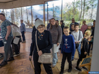 ������ "����������� � ��������" ���������� ��� ��������