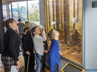 ������ "����������� � ��������" ���������� ��� ��������