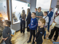 ������ "����������� � ��������" ���������� ��� ��������