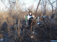 � ������ ������� � ������� ����� ����������� ������