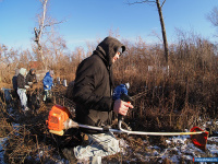 � ������ ������� � ������� ����� ����������� ������