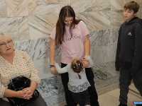 Ҹ���� � ������ ��������� "��������� ������" ������ � ������