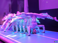 "�������� ��������" �������� ����������� �������