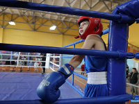 � ������ ������ ���������� ������ �� �����