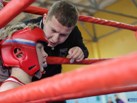 � ������ ������ ���������� ������ �� �����