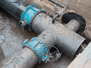 ��������� "����" �������� ���������