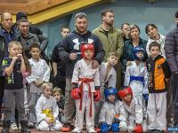 � ������ ������ ������ �� ����������� ���