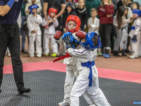 � ������ ������ ������ �� ����������� ���