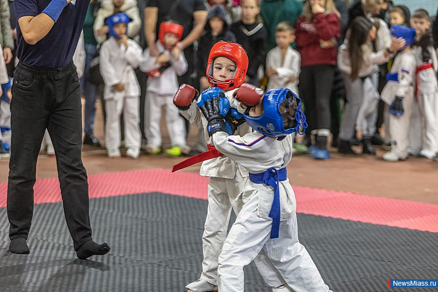 � ������ ������ ������ �� ����������� ���. �� ������� ������� �������� 172 ���������� ������