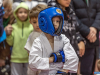 � ������ ������ ������ �� ����������� ���