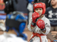 � ������ ������ ������ �� ����������� ���