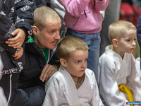 � ������ ������ ������ �� ����������� ���