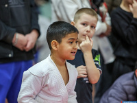 � ������ ������ ������ �� ����������� ���