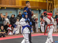 � ������ ������ ������ �� ����������� ���