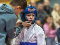 � ������ ������ ������ �� ����������� ���