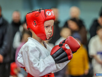 � ������ ������ ������ �� ����������� ���