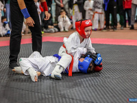 � ������ ������ ������ �� ����������� ���