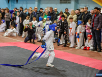 � ������ ������ ������ �� ����������� ���