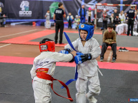 � ������ ������ ������ �� ����������� ���