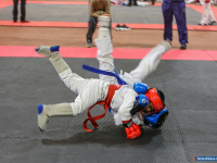 � ������ ������ ������ �� ����������� ���