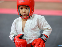 � ������ ������ ������ �� ����������� ���