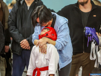 � ������ ������ ������ �� ����������� ���