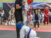 � ������ ������ ������ �� ����������� ���