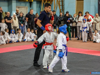 � ������ ������ ������ �� ����������� ���