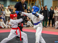 � ������ ������ ������ �� ����������� ���