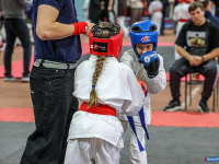 � ������ ������ ������ �� ����������� ���