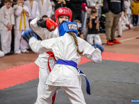 � ������ ������ ������ �� ����������� ���