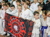 � ������ ������ ������ �� ����������� ���