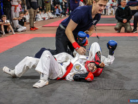 � ������ ������ ������ �� ����������� ���