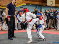 � ������ ������ ������ �� ����������� ���