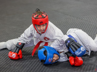 � ������ ������ ������ �� ����������� ���