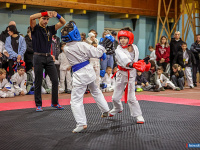 � ������ ������ ������ �� ����������� ���