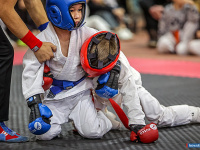 � ������ ������ ������ �� ����������� ���