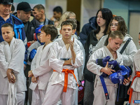 � ������ ������ ������ �� ����������� ���