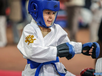 � ������ ������ ������ �� ����������� ���