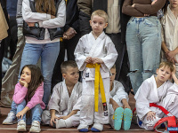 � ������ ������ ������ �� ����������� ���