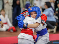 � ������ ������ ������ �� ����������� ���