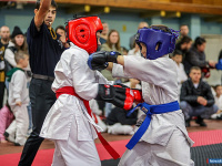 � ������ ������ ������ �� ����������� ���