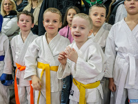 � ������ ������ ������ �� ����������� ���