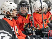 "� ������ ������ ��������� �������..."