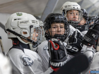 "� ������ ������ ��������� �������..."