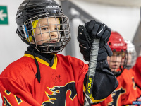 "� ������ ������ ��������� �������..."