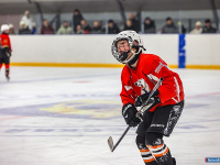 "� ������ ������ ��������� �������..."