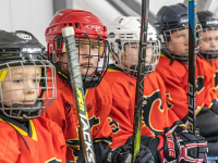 "� ������ ������ ��������� �������..."